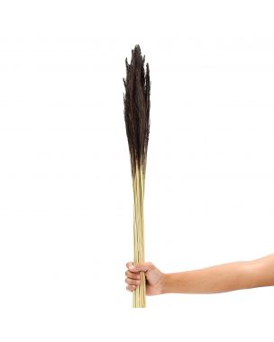 Leewadee Dried Coloured Palm Leaf Bunch For Floor Vases Decorative