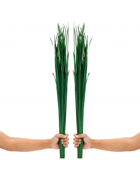 Leewadee Tall Vase Filler , Natural Grass Stems – 2 Bunches Of Colored Branches for Vases, Carefully Dried Twigs for Home and Bar Decoration, 45 inches, Green