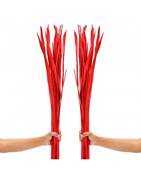 Leewadee Tall Vase Filler , Dried Palm Leaves – 2 Bunches Of Colored Decor for Floor Vases, Naturally Dried Arrangements For Vintage Or Modern House Decor, 45 inches, Red