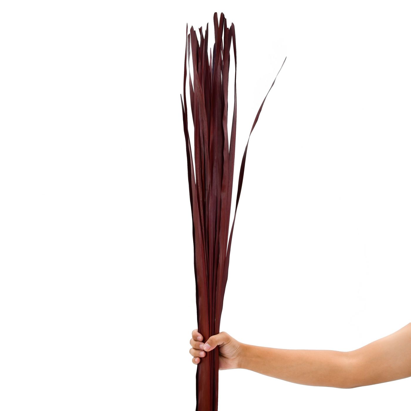 Leewadee Dried Coloured Palm Leaf Bunch For Floor Vases Decorative