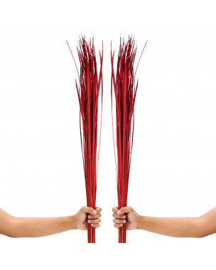 Leewadee Tall Vase Filler , Natural Grass Stems – 2 Bunches Of Colored Branches for Vases, Carefully Dried Twigs for Home and Bar Decoration, 45 inches, Red